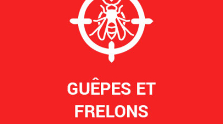 Prestations--Guêpes-et-frelons--mbh-services